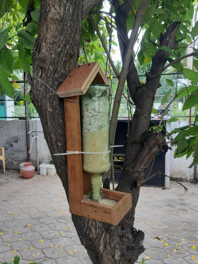 Agsara Home Stay Коимбатур Экстерьер фото